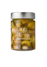 lampascioni pugliesi in olio evo galantino